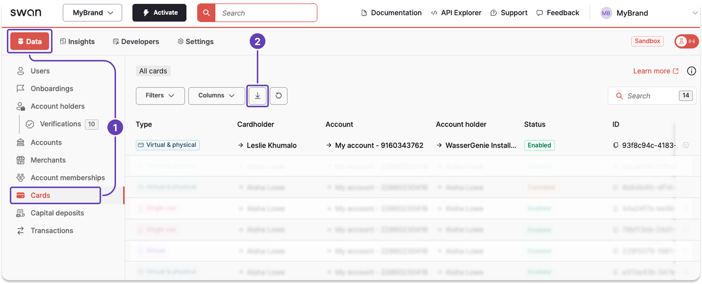 Screenshot of Swan Dashboard cards page with a callout download icon to trigger an export